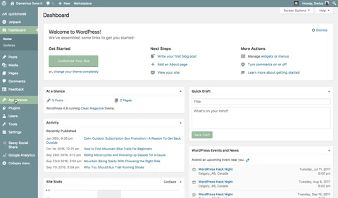 access the themes panel in WordPress to install a new theme