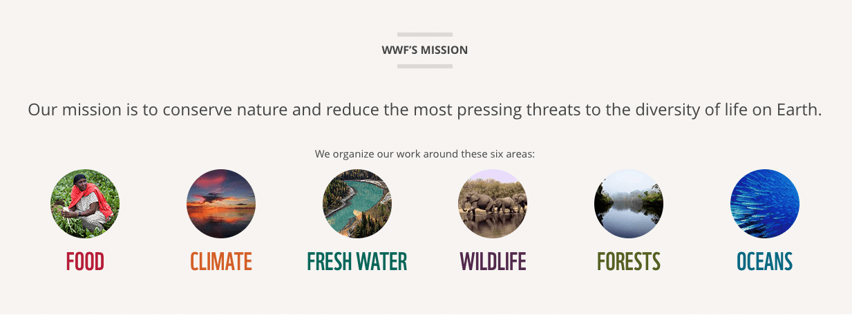 WWF's mission statement is clear and accessible, and they link out to categorized information about each area of the environment they help protect.