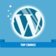 Why WordPress is the Best Tool to Create Your Website